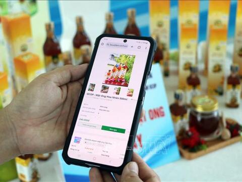 Bảo hộ tài sản trí tuệ cho doanh nghiệp trong kỷ nguyên số