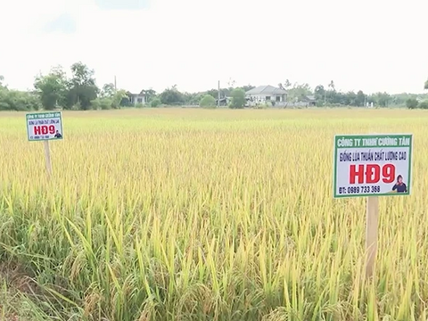 Sở hữu trí tuệ - mở “đường băng” cho kết quả nghiên cứu khoa học